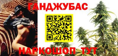 прущие грибы Кандалакша
