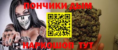прущие грибы Кандалакша