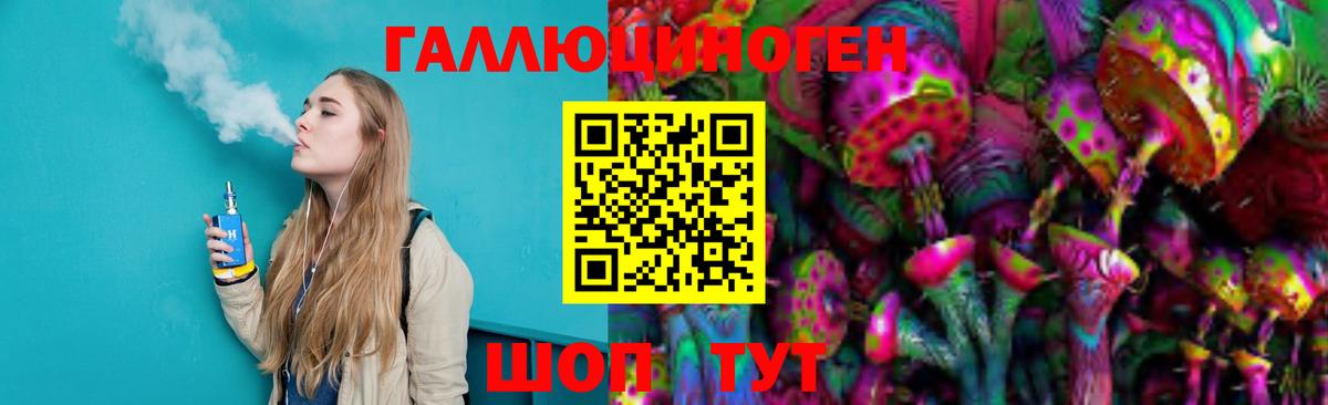 Псилоцибиновые грибы Psilocybine cubensis Кузнецк