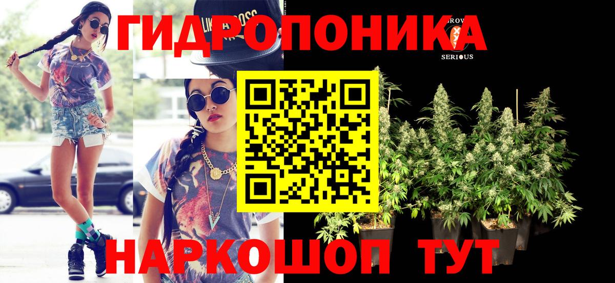 Бошки Шишки AK-47 Кузнецк